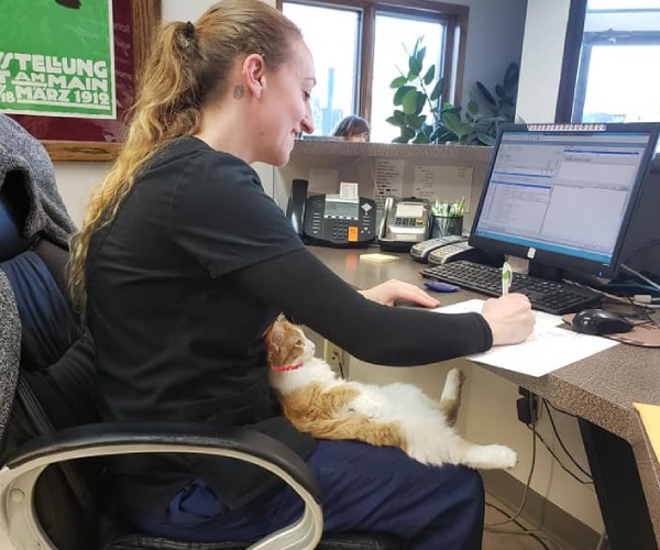 Cat is lying in the lap of woman