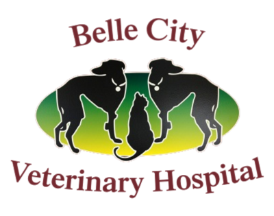 Belle City Veterinary Hospital logo